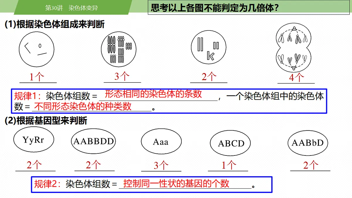 17678406第7页