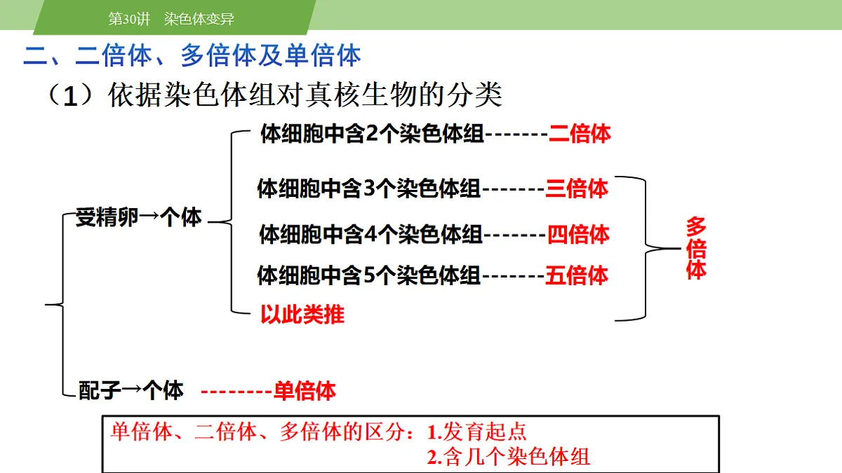 17678406第8页