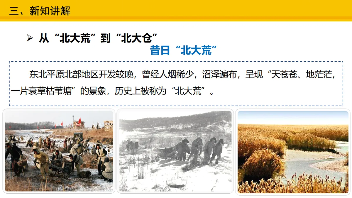 17678622第4页