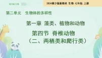 七年级上册（2024）两栖类和爬行类备课课件ppt