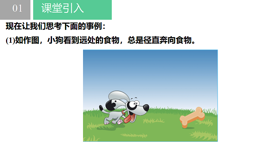 17678863第3页