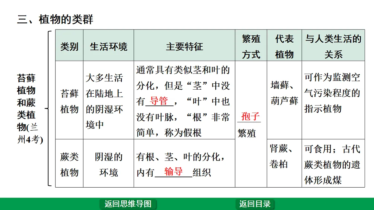 17680596第6页