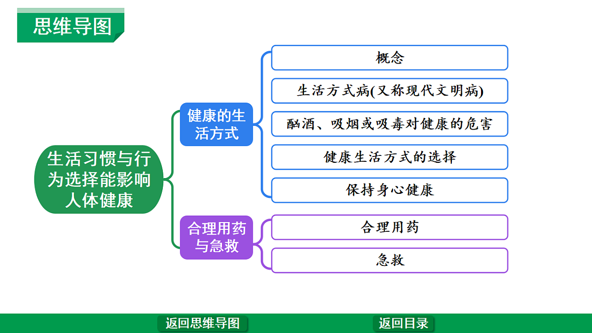 17680599第4页