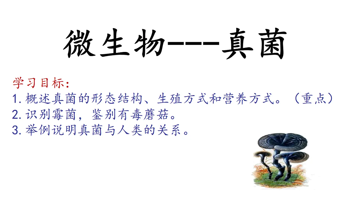 17681849第1页