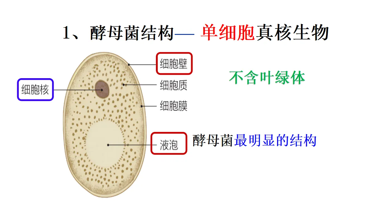 17681849第3页