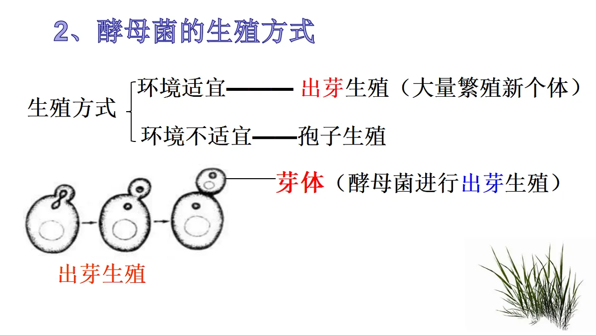 17681849第4页