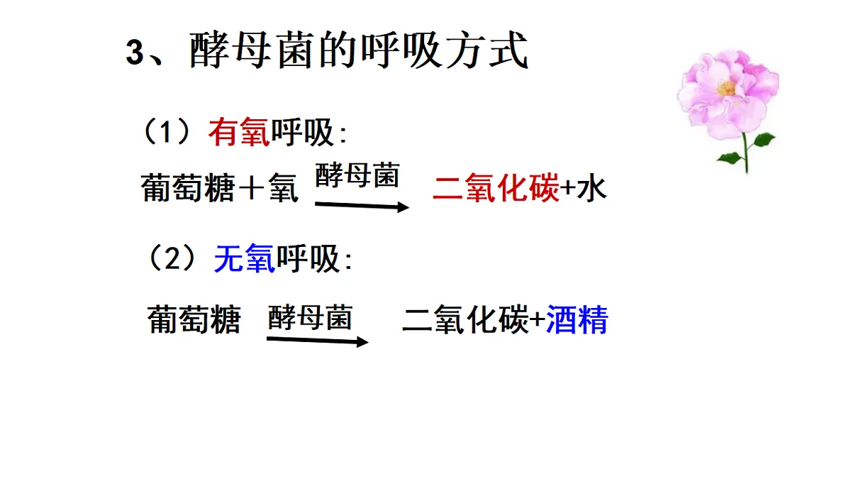 17681849第5页