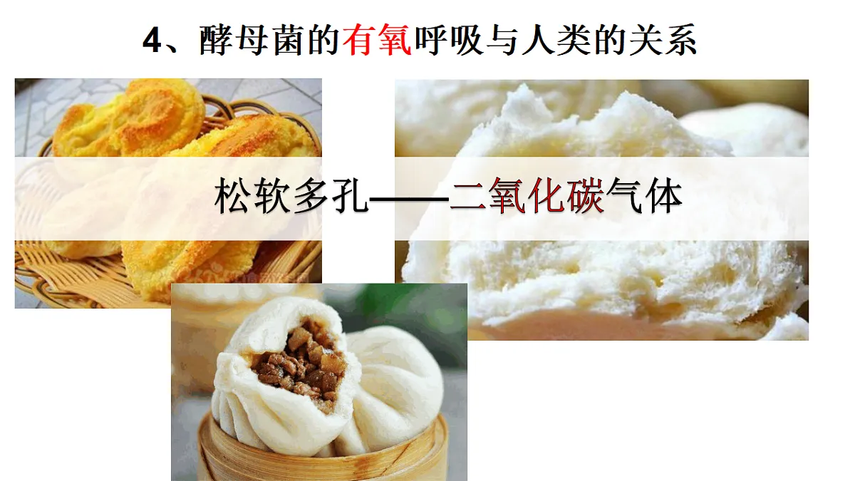 17681849第6页