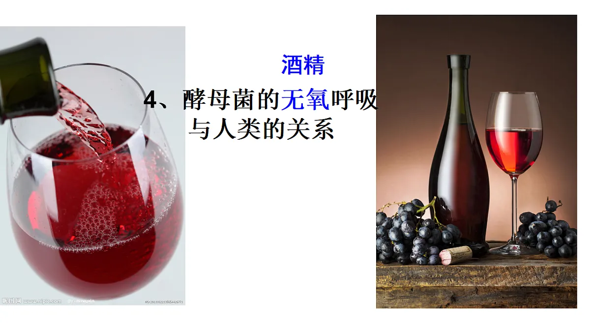 17681849第7页