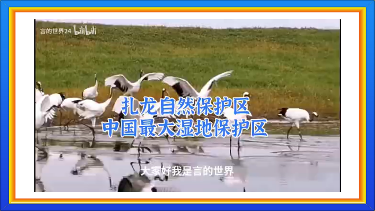 17683285第4页