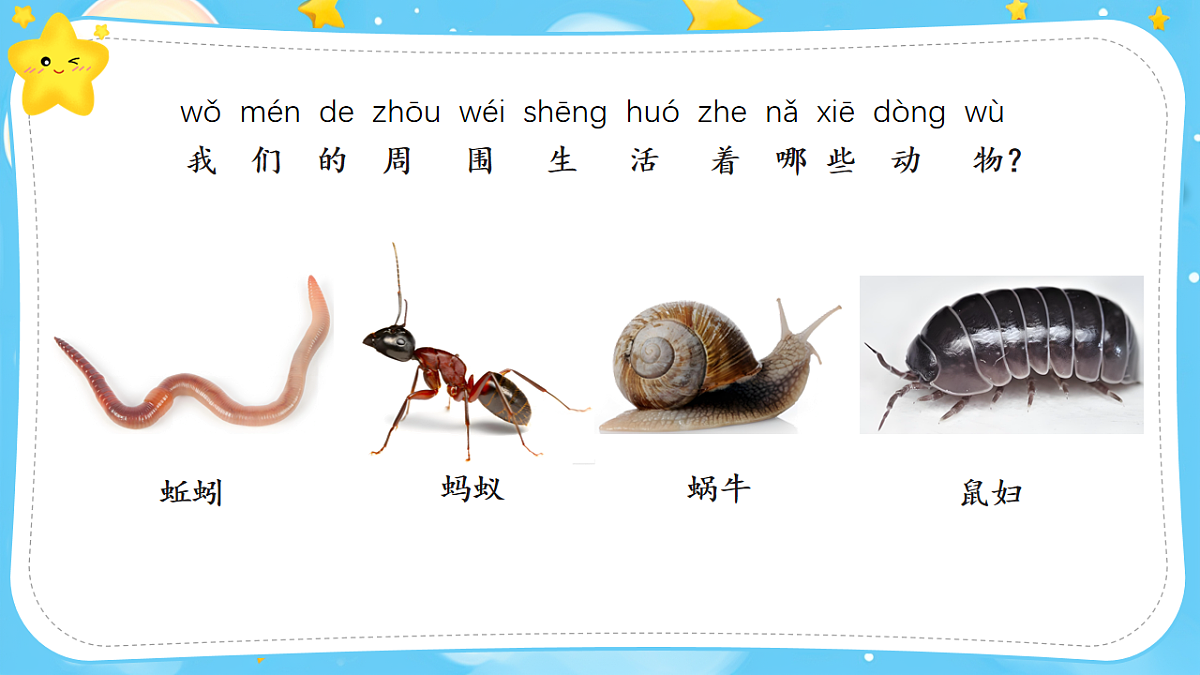 17684411第5页