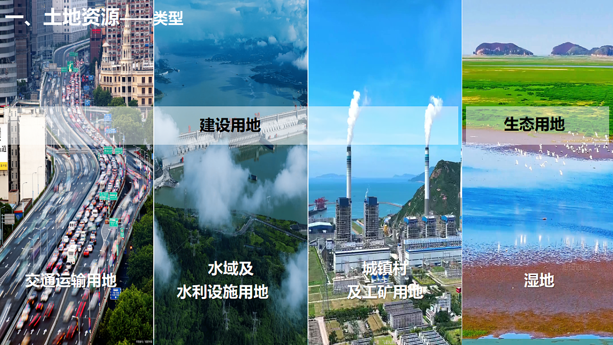 17687201第3页