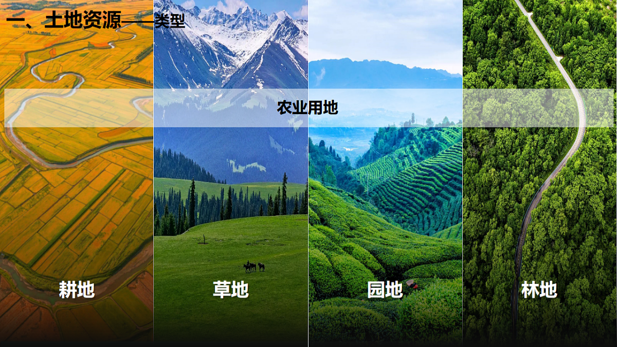 17687201第4页