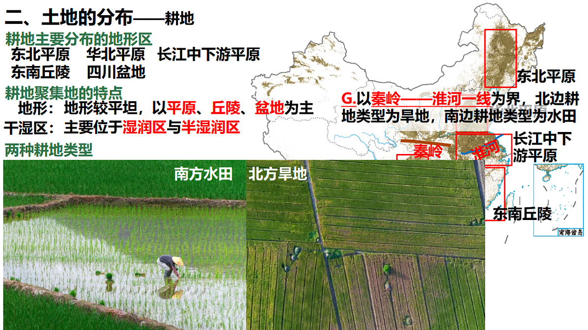 17687201第5页