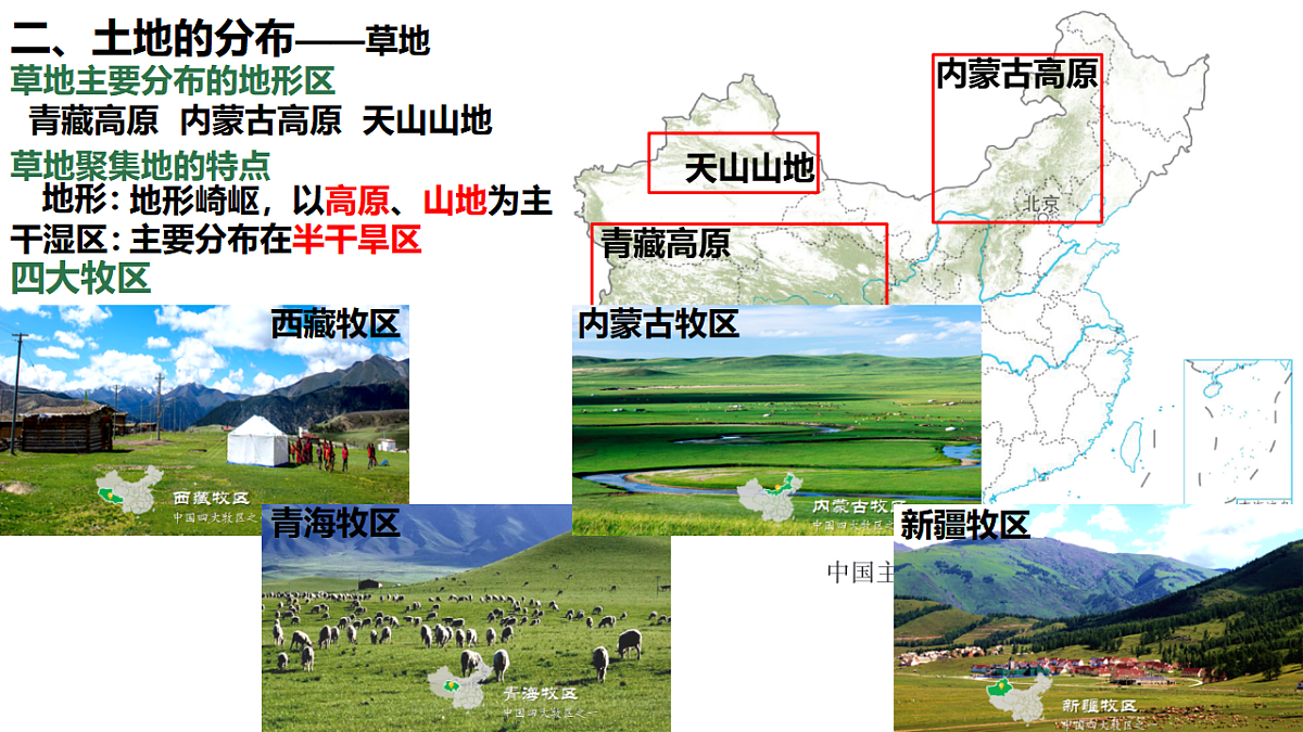 17687201第7页