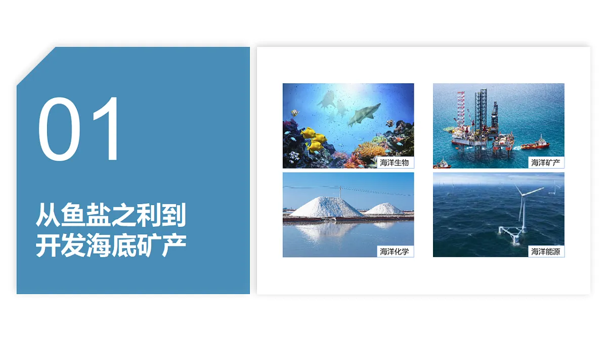 17687444第3页