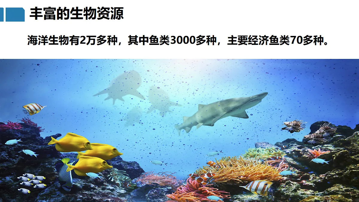 17687444第5页