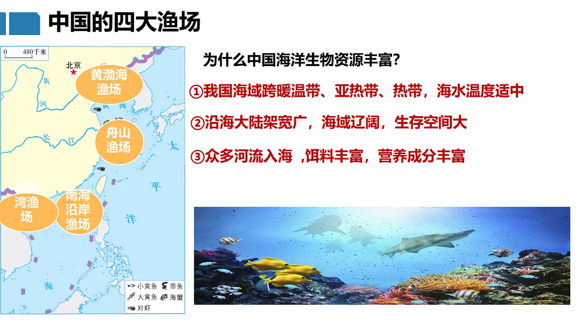 17687444第7页