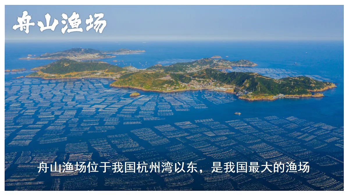 17687444第8页