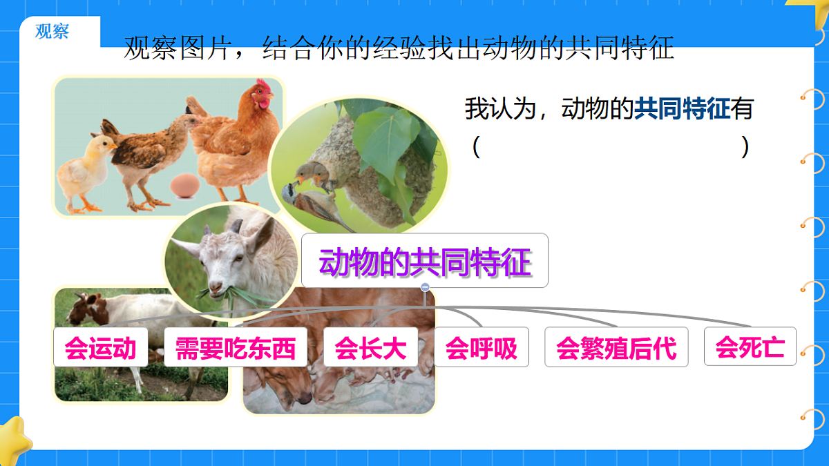 17690641第3页
