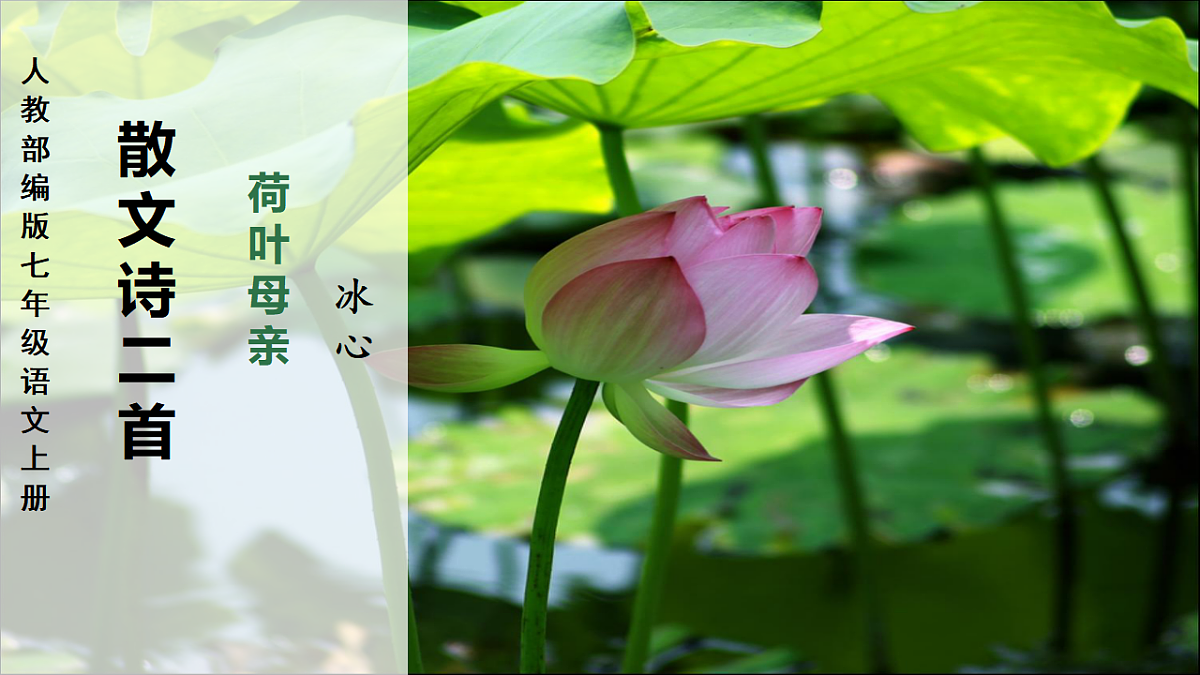 17691601第1页