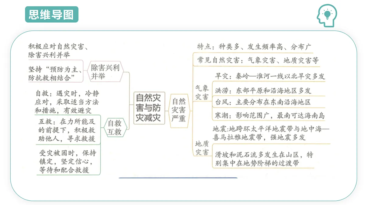 17691608第3页