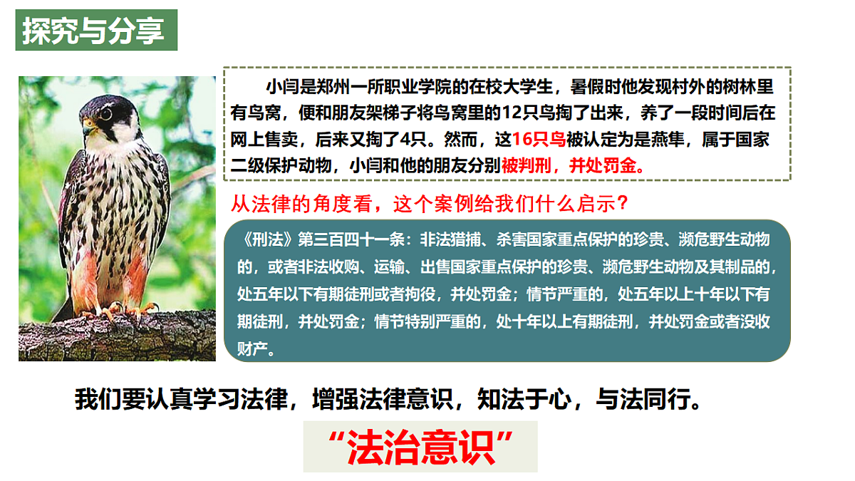 17692165第4页