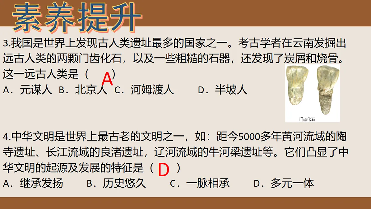 17694467第8页