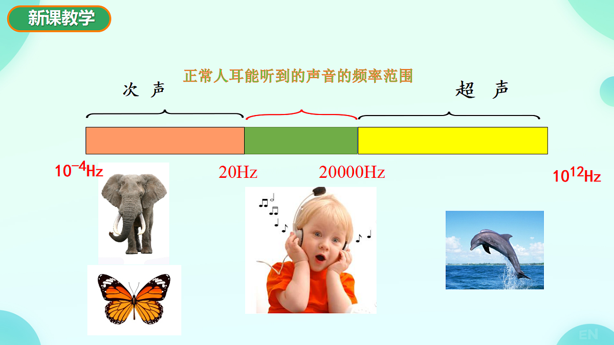 17694977第4页