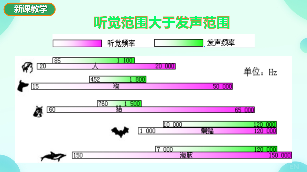 17694977第5页