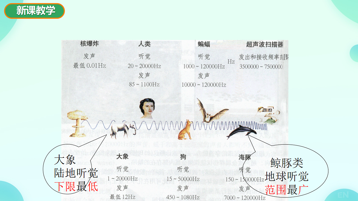 17694977第6页
