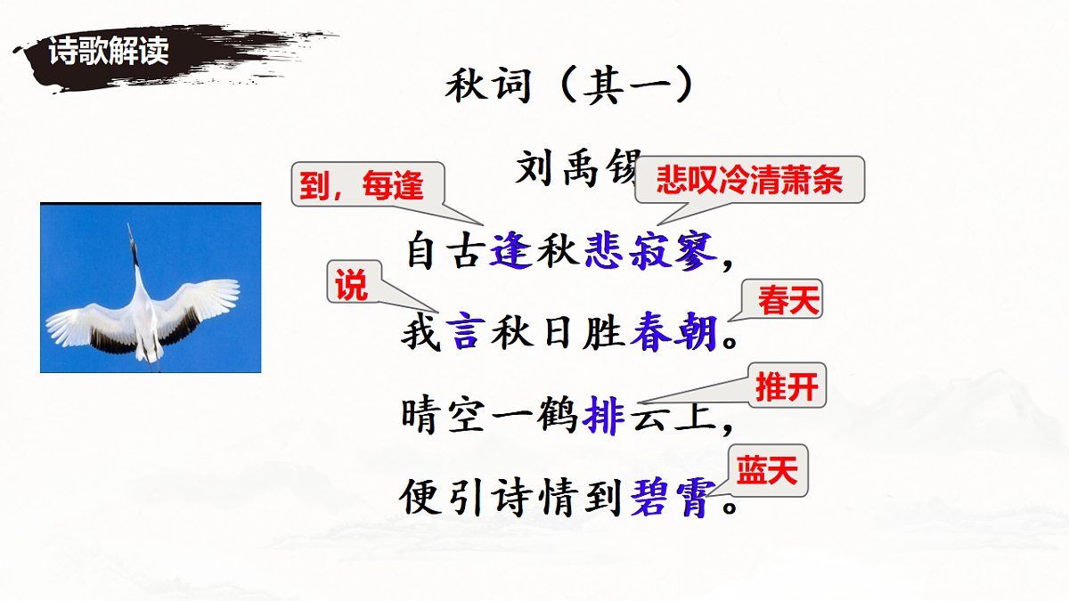 17695307第6页