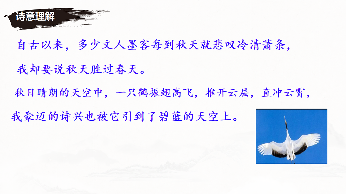 17695307第7页