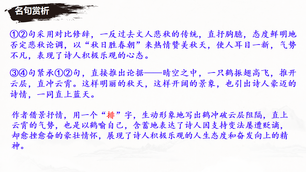 17695307第8页