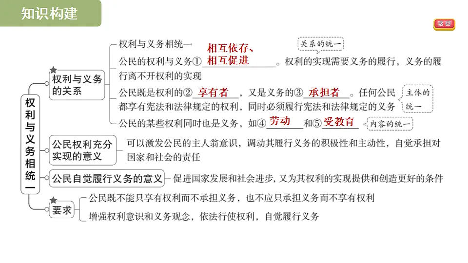 17695324第3页