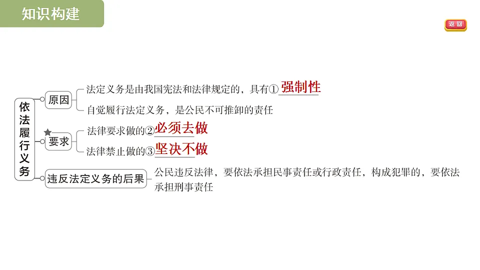 17695326第3页