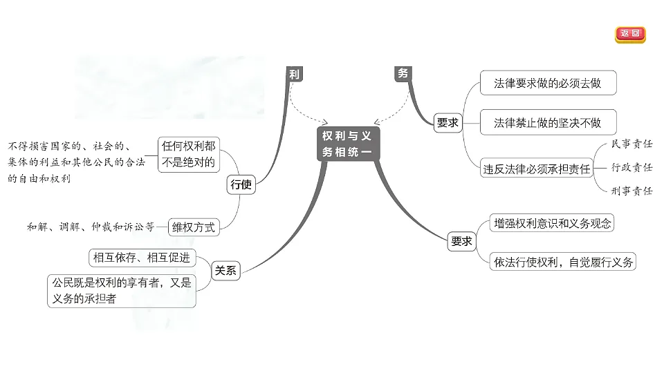 17695348第4页