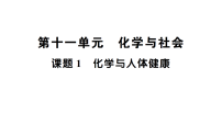初中化学人教版（2024）九年级下册（2024）化学与人体健康作业课件ppt