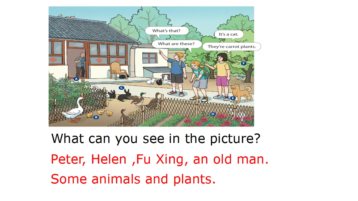 17696048第2页