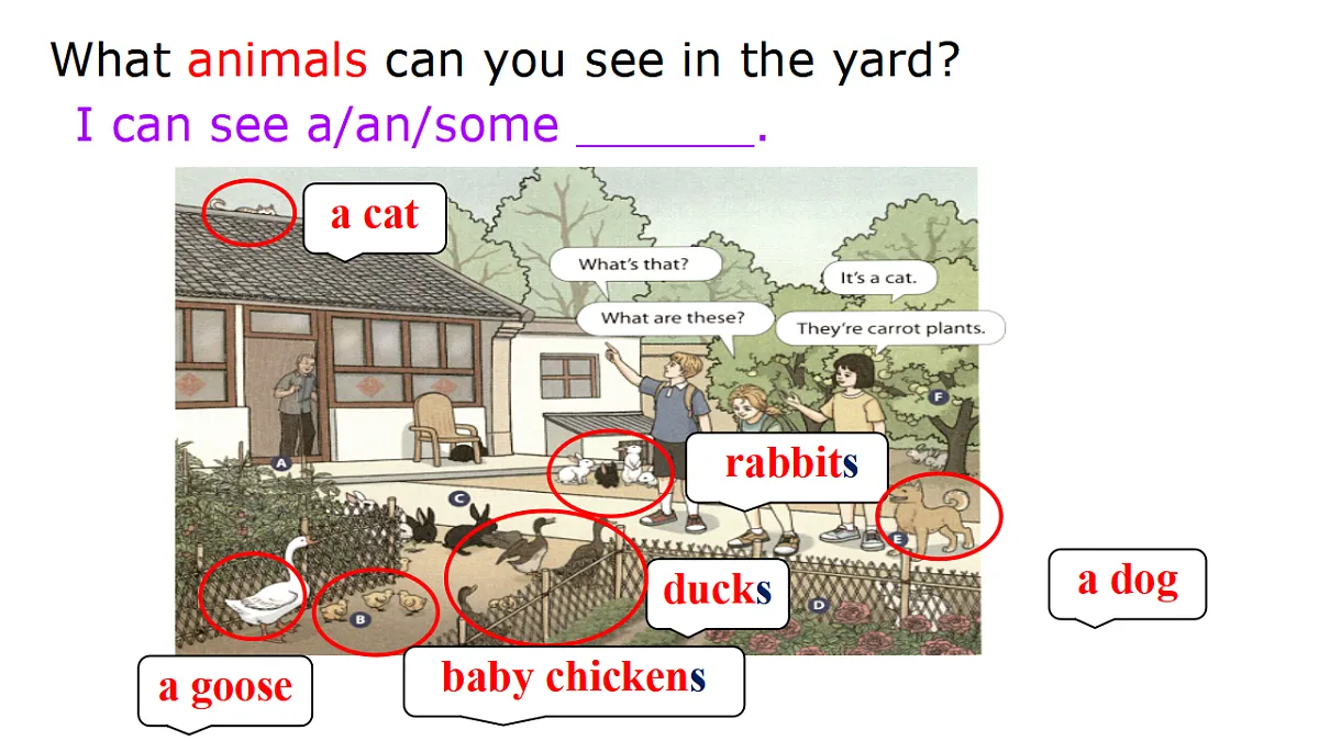 17696048第4页