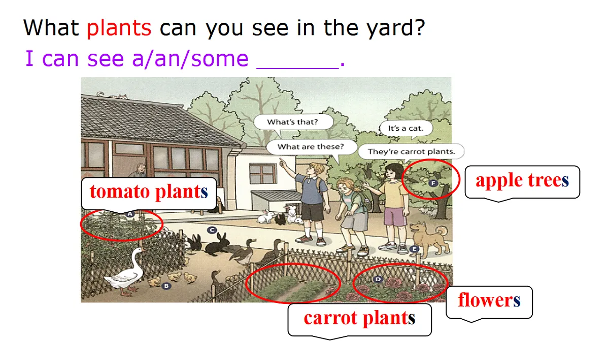 17696048第5页