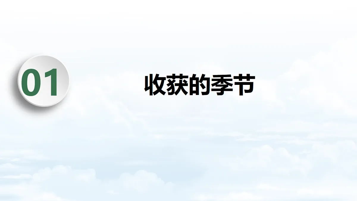 17696640第4页