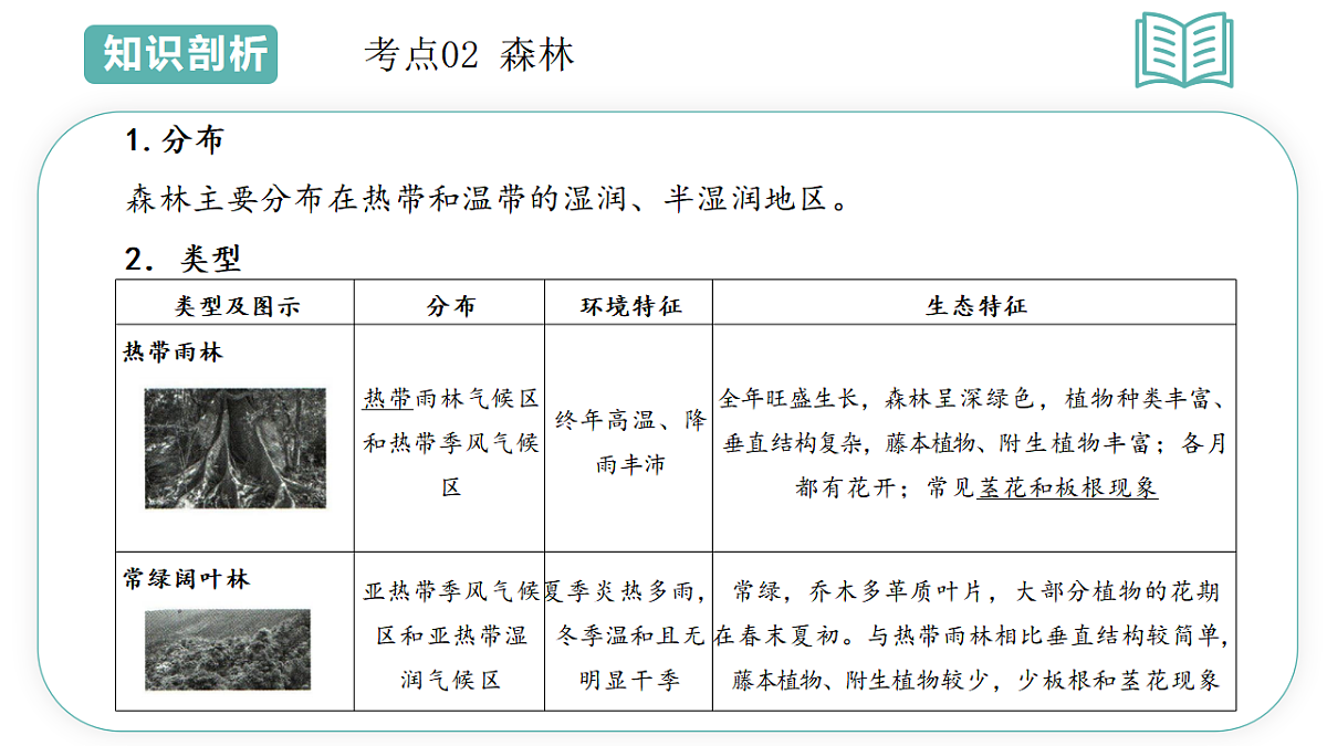 17699061第7页