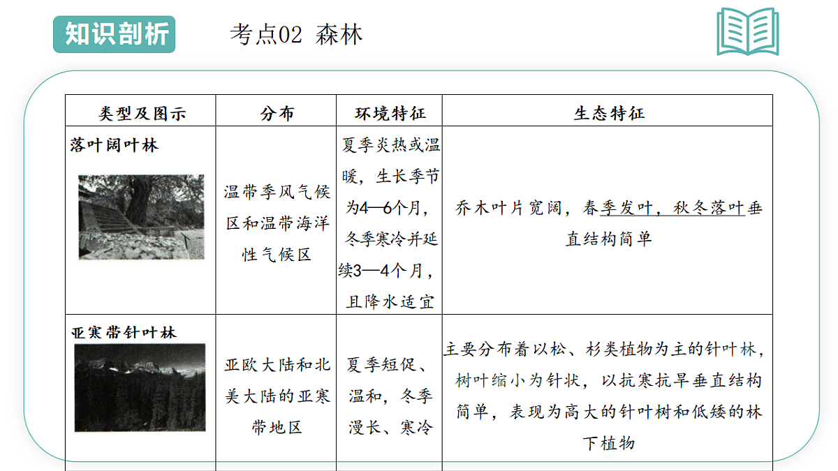 17699061第8页