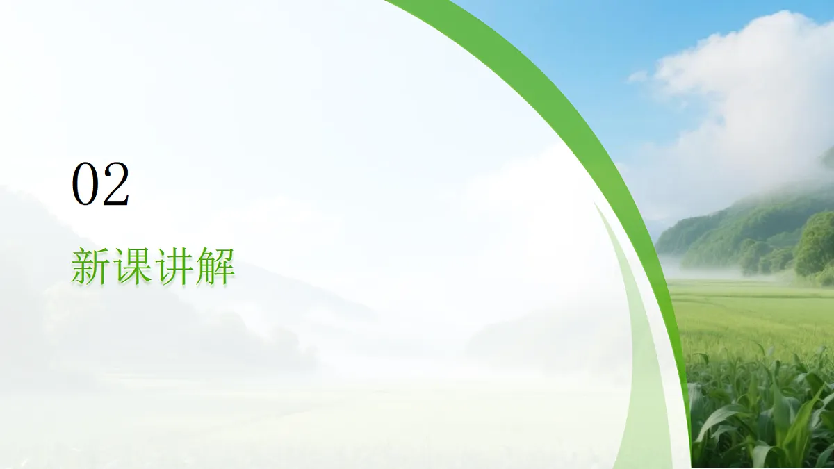岭南版(2024)一年级下册美术第13课《镜头里的风景》课件第7页