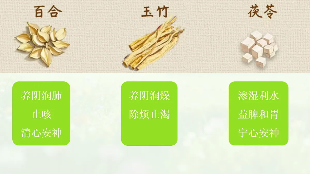 岭南版(2024)一年级下册美术第15课《草木生》课件第8页