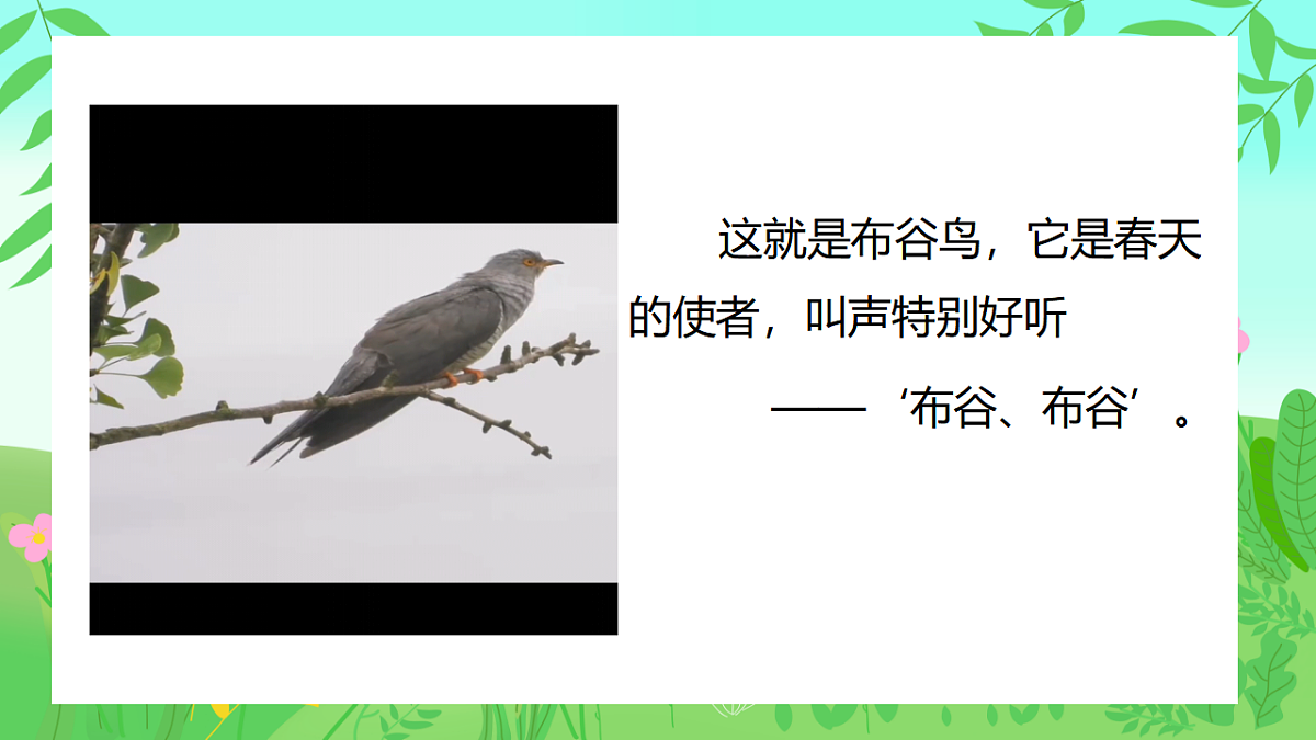 人音版(2024)一年级下册音乐(五线谱)第一单元《布谷》课件第3页