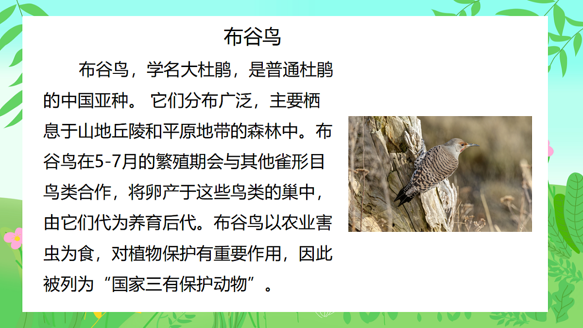 人音版(2024)一年级下册音乐(五线谱)第一单元《布谷》课件第4页