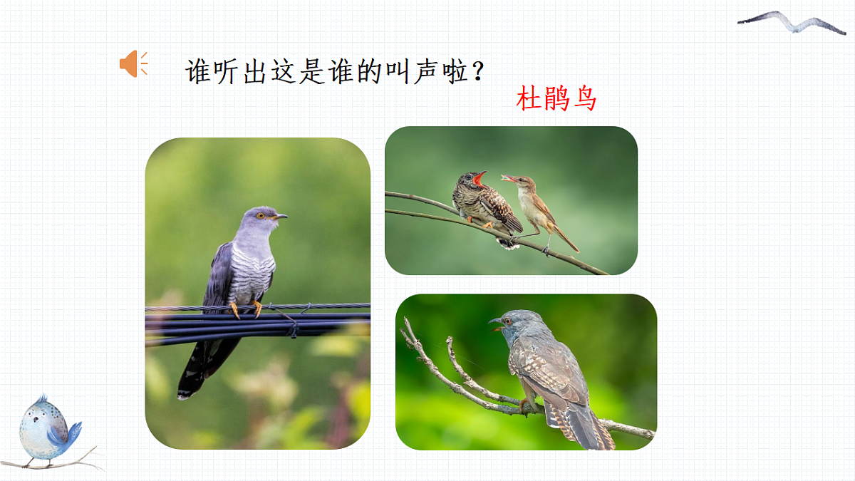 人音版(2024)一年级下册音乐(五线谱)第一单元《杜鹃圆舞曲》课件第4页