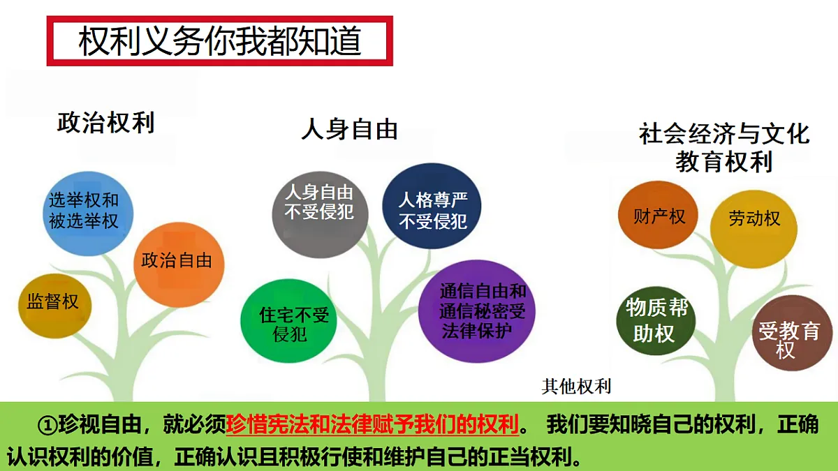 17699715第5页